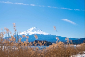 Naturskjønn dagsomvisning til Fuji-fjellet, Hakone og Kawaguchiko fra Tokyo