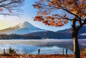 Naturskjønn dagsomvisning til Fuji-fjellet, Hakone og Kawaguchiko fra Tokyo
