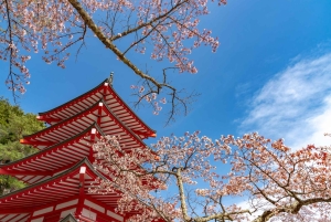 Naturskjønn dagsomvisning til Fuji-fjellet, Hakone og Kawaguchiko fra Tokyo