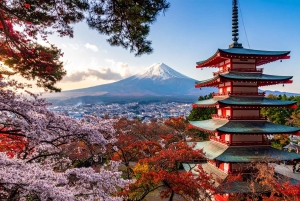 Naturskjønn dagsomvisning til Fuji-fjellet, Hakone og Kawaguchiko fra Tokyo