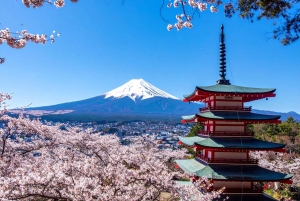 Naturskjønn dagsomvisning til Fuji-fjellet, Hakone og Kawaguchiko fra Tokyo