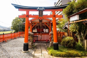 Naturskjønn dagsomvisning til Fuji-fjellet, Hakone og Kawaguchiko fra Tokyo