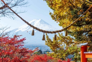 Naturskjønn dagsomvisning til Fuji-fjellet, Hakone og Kawaguchiko fra Tokyo