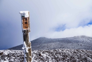 Naturskjønn dagsomvisning til Fuji-fjellet, Hakone og Kawaguchiko fra Tokyo