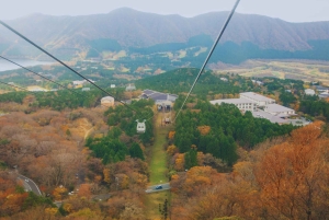 Naturskjønn dagsomvisning til Fuji-fjellet, Hakone og Kawaguchiko fra Tokyo