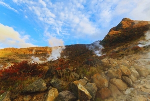 Naturskjønn dagsomvisning til Fuji-fjellet, Hakone og Kawaguchiko fra Tokyo