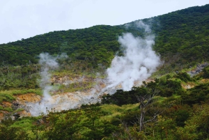 Naturskjønn dagsomvisning til Fuji-fjellet, Hakone og Kawaguchiko fra Tokyo