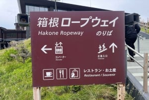 VIP Mt. Fuji och Hakone med vackra sjöar privat tur