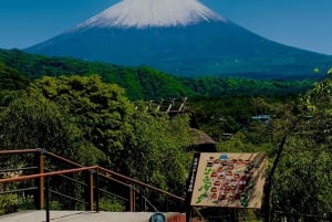 VIP Mt. Fuji och Hakone med vackra sjöar privat tur