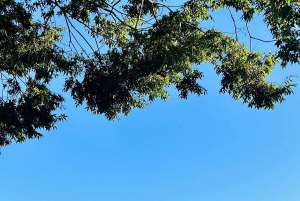 VIP Mt. Fuji och Hakone med vackra sjöar privat tur