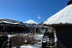 VIP Mt. Fuji och Hakone med vackra sjöar privat tur