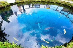 Tour del Monte Fuji: 6 luoghi imperdibili, Lago Kawaguchi, Oshino Hakkai