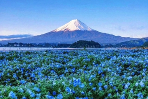 Tour del Monte Fuji: 6 luoghi imperdibili, Lago Kawaguchi, Oshino Hakkai