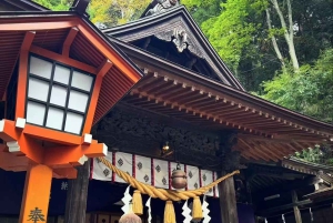 Tour del Monte Fuji: 6 luoghi imperdibili, Lago Kawaguchi, Oshino Hakkai