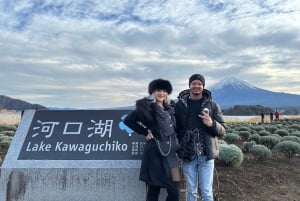 Mt Fuji : 10 hours Private Tour in Luxury Private Car