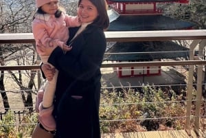 Mt Fuji : 10 hours Private Tour in Luxury Private Car