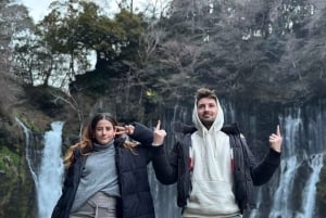 Mt Fuji : 10 hours Private Tour in Luxury Private Car