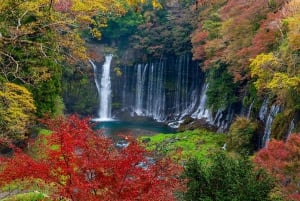 Mt Fuji : 10 hours Private Tour in Luxury Private Car