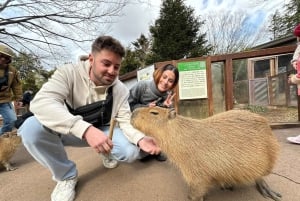 Mt Fuji : 10 hours Private Tour in Luxury Private Car