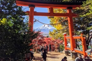 Fra Tokyo: Dagsudflugt til Mt Fuji, Arakurayama og Kawaguchi-søen