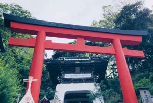 Tokyo: 2-Day Mt. Fuji, Kamakura and Izu Hot Springs Tour