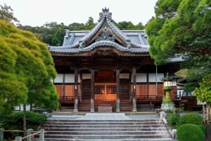 Tokyo: 2-Day Mt. Fuji, Kamakura and Izu Hot Springs Tour