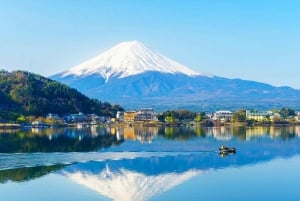 Mt.Fuji:Kawaguchi lake and ropeway,Oshino Hakkai 1-Day Tour