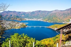 Mt.Fuji:Kawaguchi lake and ropeway,Oshino Hakkai 1-Day Tour