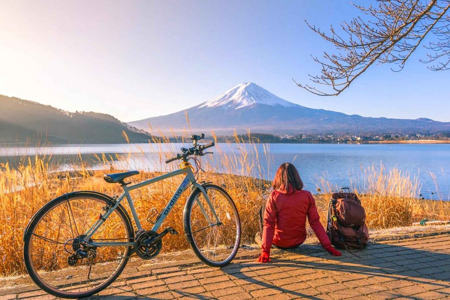富士山：河口湖ケーブルカー、富士山ローソン、忍野八海をご覧ください