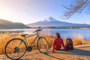 Гора Фудзияма: канатная дорога на озеро Кавагути, магазин Lawson и Осино Хаккай