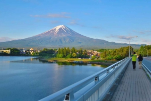 Fuji: Kawaguchisjöns linbana, Lawson och Oshino Hakkai