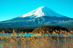 Fuji: Kawaguchisjöns linbana, Lawson och Oshino Hakkai