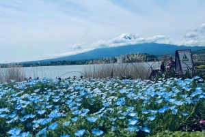Fuji: Kawaguchisjöns linbana, Lawson och Oshino Hakkai