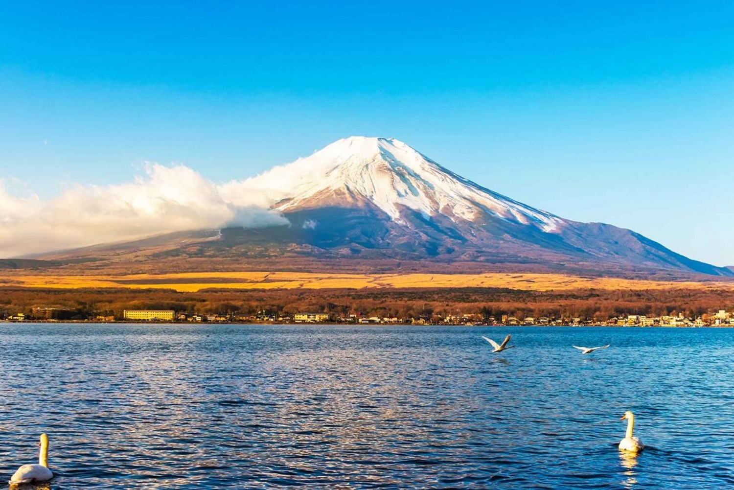 Fuji-bjerget, Kawaguchi-søen og Yamanaka, varm kilde heldagstur