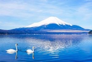 Excursão de 1 dia ao Monte Fuji, Lago Kawaguchi e Yamanaka, fontes termais