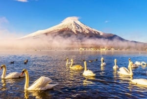 Excursão de 1 dia ao Monte Fuji, Lago Kawaguchi e Yamanaka, fontes termais