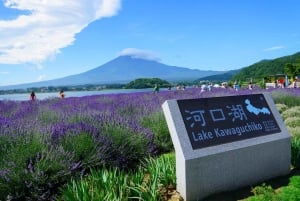 Excursão de 1 dia ao Monte Fuji, Lago Kawaguchi e Yamanaka, fontes termais