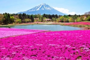 Excursão de 1 dia ao Monte Fuji, Lago Kawaguchi e Yamanaka, fontes termais