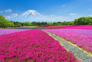 Excursão de 1 dia ao Monte Fuji, Lago Kawaguchi e Yamanaka, fontes termais