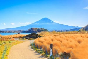 Excursão de 1 dia ao Monte Fuji, Lago Kawaguchi e Yamanaka, fontes termais