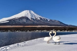 Excursão de 1 dia ao Monte Fuji, Lago Kawaguchi e Yamanaka, fontes termais