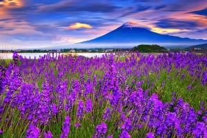 Excursão de 1 dia ao Monte Fuji, Lago Kawaguchi e Yamanaka, fontes termais