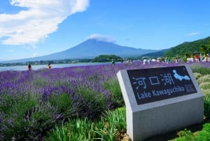 Excursion d'une journée au Mont Fuji, au lac Kawaguchi, à Yamanaka et aux Onsen, au départ de Tokyo