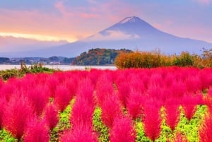 Excursion d'une journée au Mont Fuji, au lac Kawaguchi, à Yamanaka et aux Onsen, au départ de Tokyo