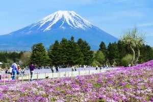 Excursion d'une journée au Mont Fuji, au lac Kawaguchi, à Yamanaka et aux Onsen, au départ de Tokyo