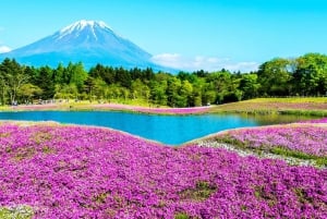 Excursion d'une journée au Mont Fuji, au lac Kawaguchi, à Yamanaka et aux Onsen, au départ de Tokyo