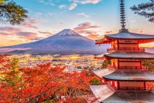 Excursion d'une journée au Mont Fuji, au lac Kawaguchi, à Yamanaka et aux Onsen, au départ de Tokyo