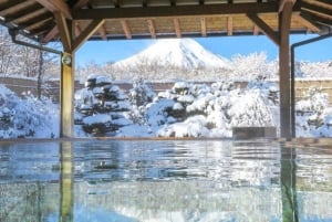 Excursion d'une journée au Mont Fuji, au lac Kawaguchi, à Yamanaka et aux Onsen, au départ de Tokyo