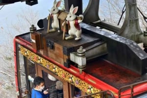 Mt. Fuji Tour: Lake Kawaguchiko Ropeway,Matcha,Oshino Hakkai