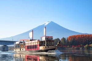 Mt. Fuji Tour: Lake Kawaguchiko Ropeway,Matcha,Oshino Hakkai